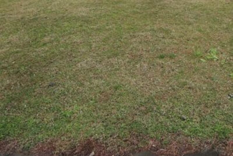 1.48 Acres of Land for Sale Birmingham, Alabama 35206 Listed on Land