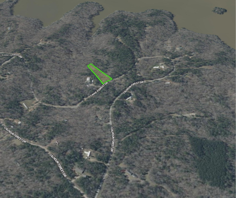 Image Alt