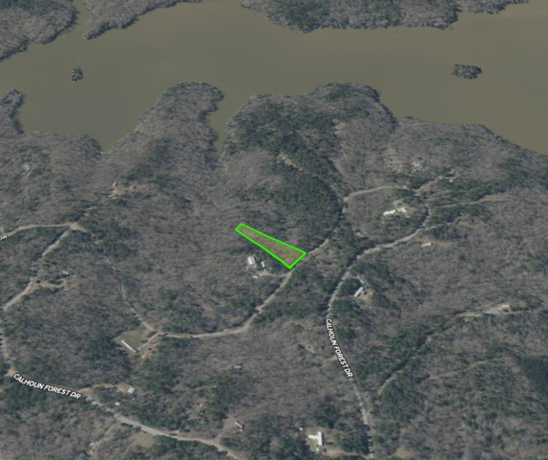 Image Alt