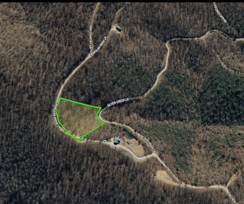Image Alt
