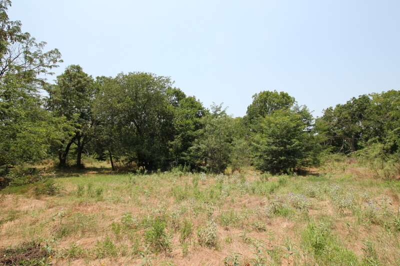 Tract 11 Country Lane Listed on