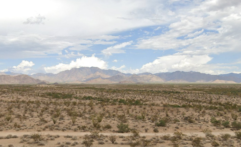 Image Alt