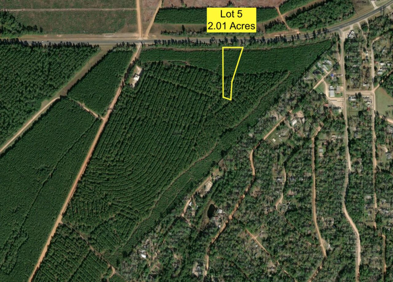 Image Alt