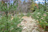 hover-shadow AND editmode= hover-shadow editmode =