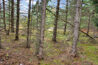 hover-shadow AND editmode= hover-shadow editmode =