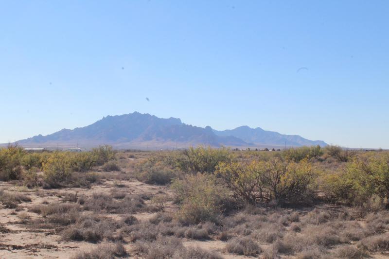 Image Alt