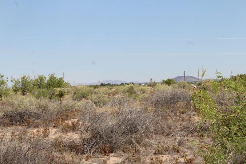 Image Alt
