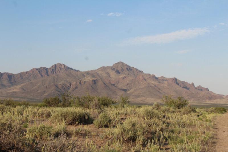 Image Alt
