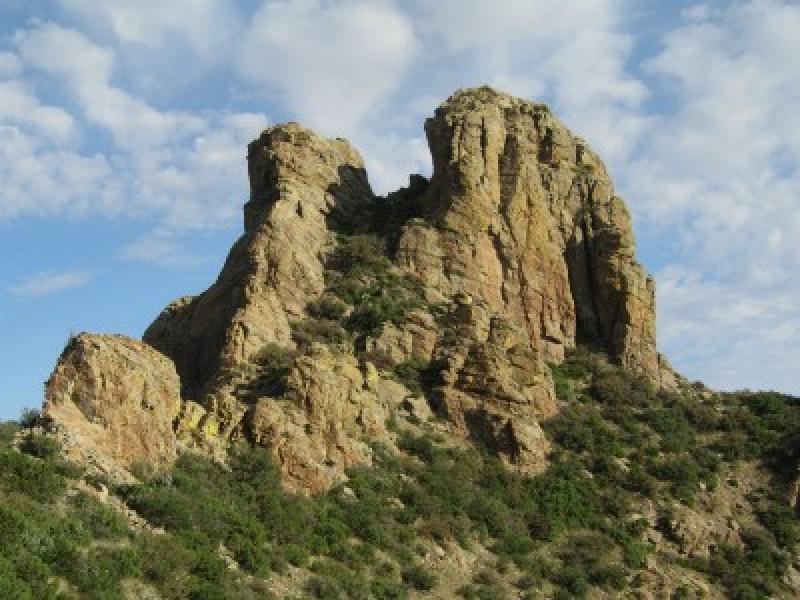 Image Alt