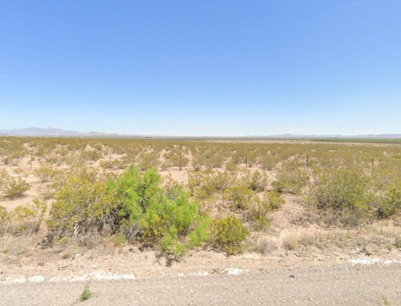 Image Alt