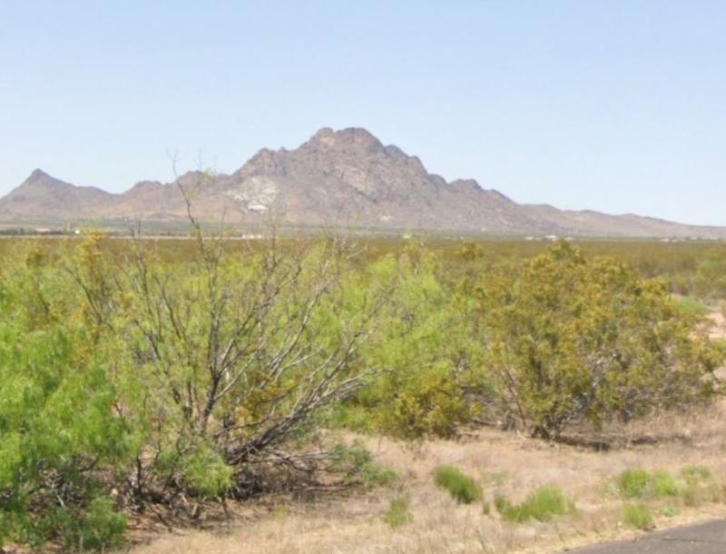 Image Alt