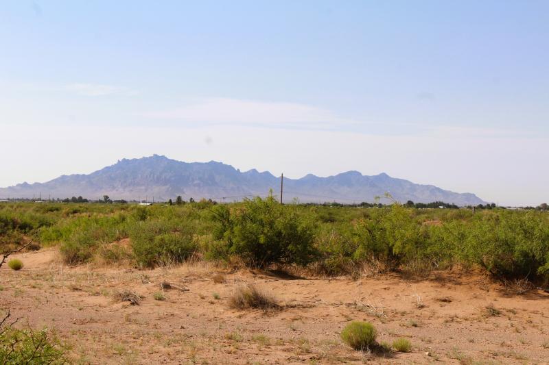 Image Alt
