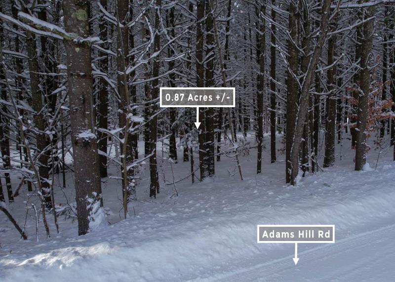 Image Alt