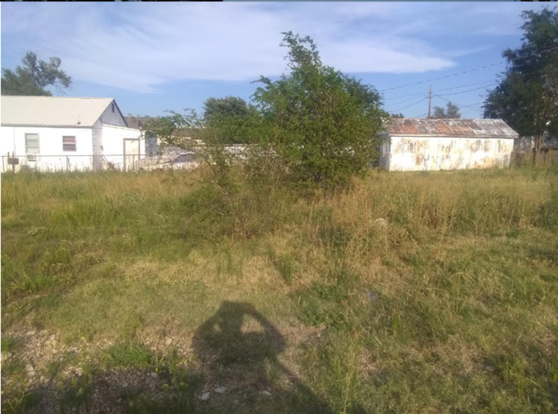 Image Alt