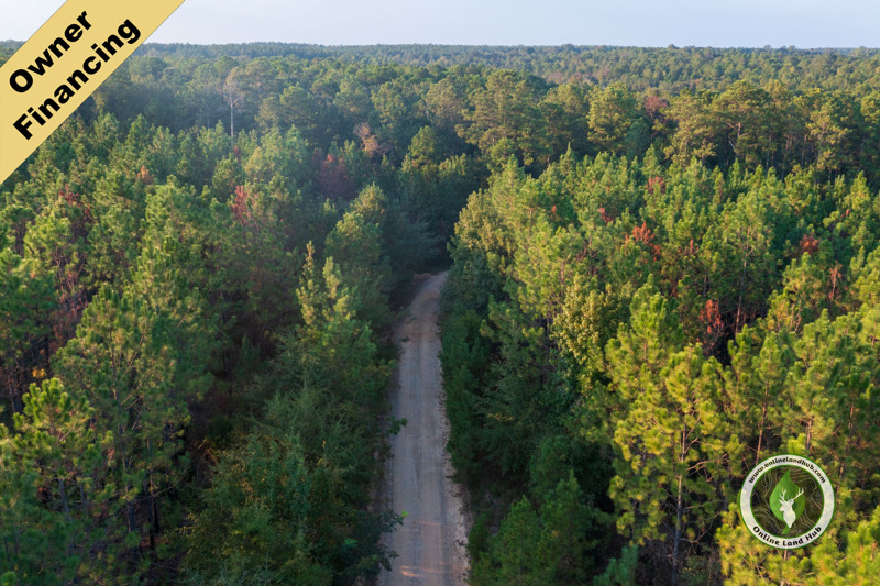 5.25 Acre Private Wooded OffGrid Land in Picturesque Alabama Listed on