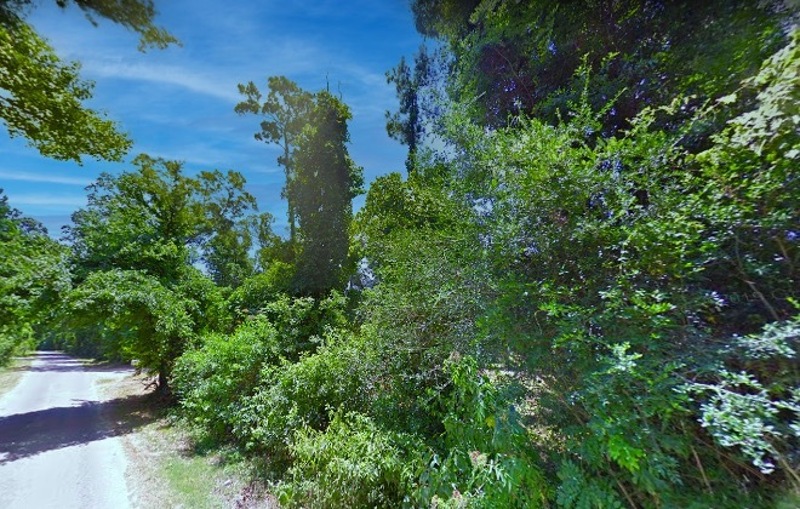 Image Alt