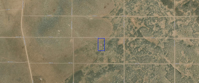 Image Alt