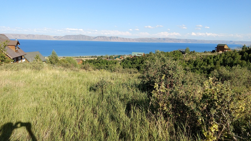 Image Alt