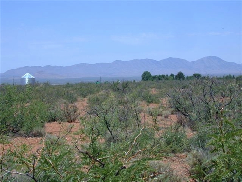 Image Alt