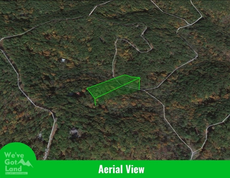 Image Alt