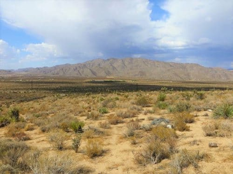 Image Alt