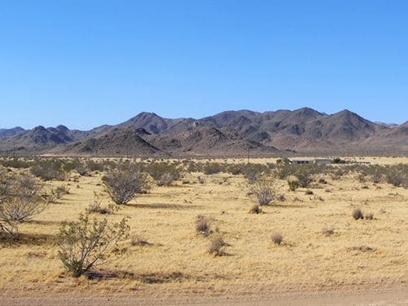 Image Alt