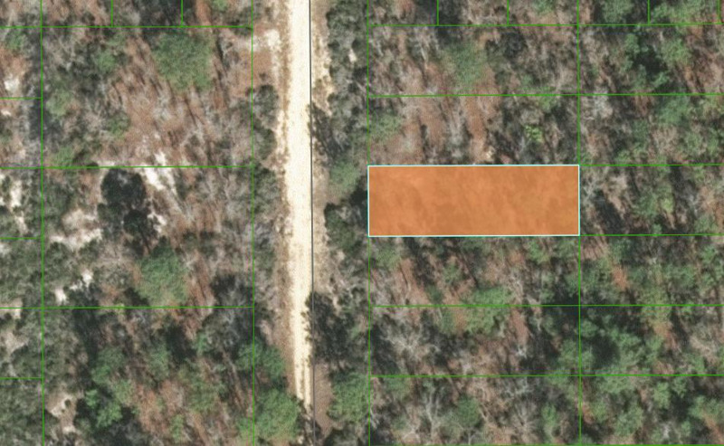 Image Alt