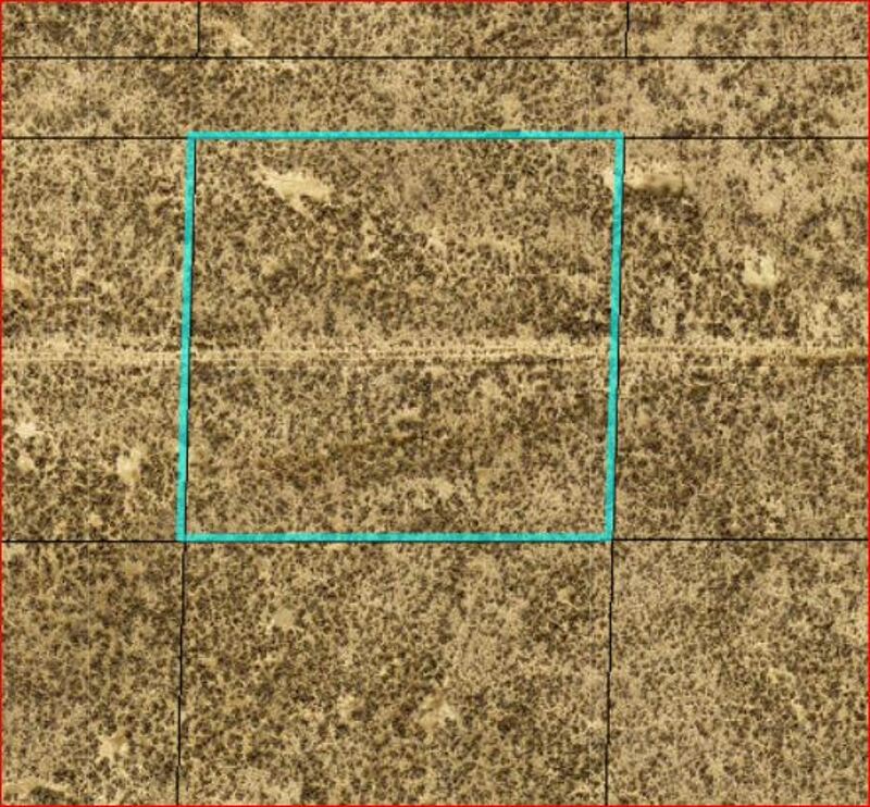 Image Alt