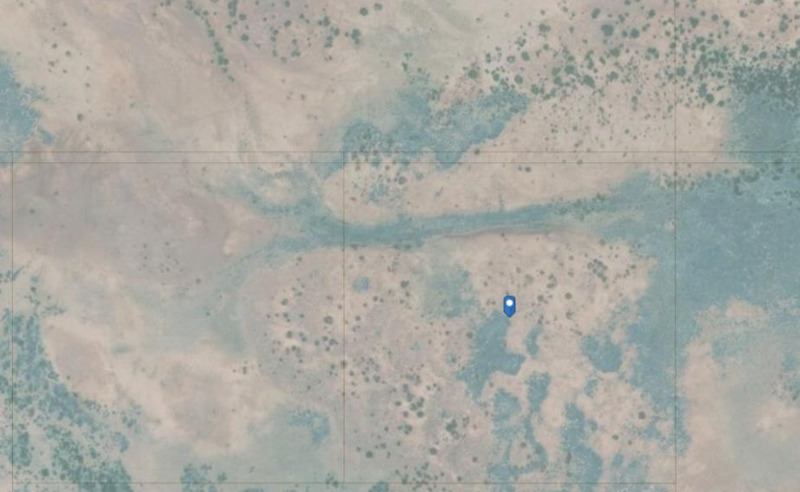 Image Alt