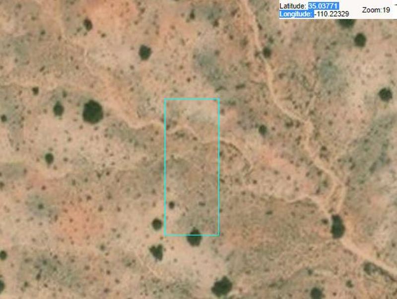 Image Alt