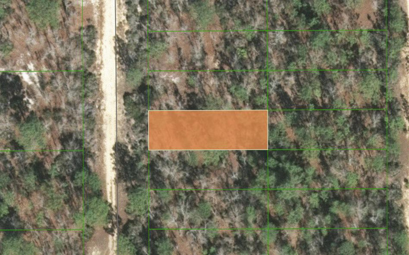 Image Alt